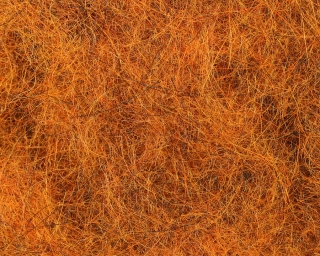 Nymph Dubbing Rusty Orange