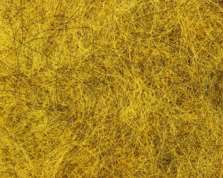 Nymph Dubbing Yellow
