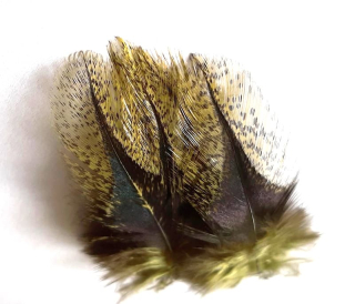 Peří Coq de Leon Dohiku Olive