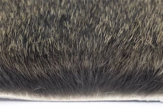 Troutline Pine Squirrel Tanned Skin Pelt piece Natural