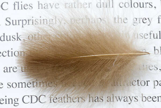 Troutline Size Selected CDC Feathers 4-5cm Natural Brown