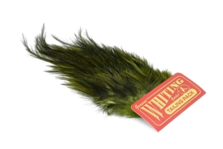 Whiting CDL Euro Nymph Tailing Pack Pardo dyed Olive