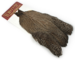 Whiting Coq de Leon Hen Cape Brown Speckled