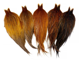 Kohoutí hlavový skalp Whiting Heritage Hackle Cape Brown Variant