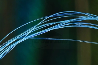 Troutline UV Micro Ribbing Quill Blue