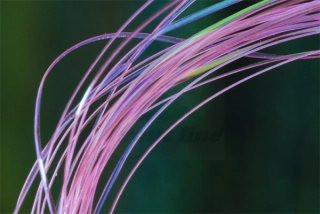Troutline UV Micro Ribbing Quill Pink