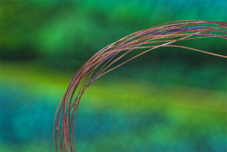 Troutline UV Micro Ribbing Quill Brown