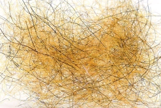 Troutline Ultra Dubbing Yellow Orange