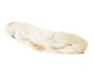 Transylvanian Snowshoe Hare Feet