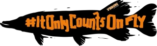 Samolepka Vision It Only Counts Pike Sticker 40cm