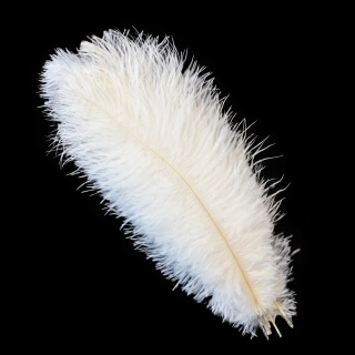 LAMAfly pštrosí peří White (30-35cm)