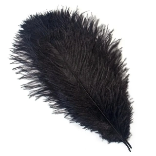 LAMAfly pštrosí peří Black (30-35cm)