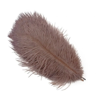 LAMAfly pštrosí peří Brown (30-35cm)