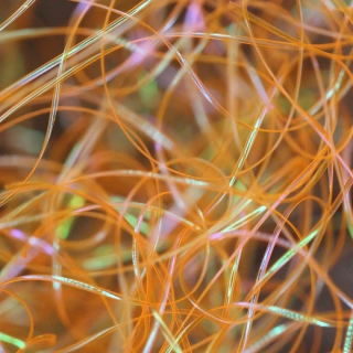 Perdigonmania Magical Strips Fluo Orange