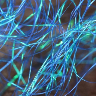 Perdigonmania Magical Strips Kingfisher Blue