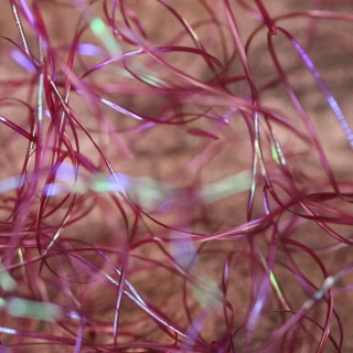 Perdigonmania Magical Strips Purple