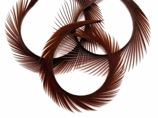 Husí Biots Goose Biot Strips Brown