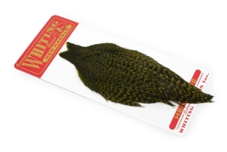 Hlavový skalp slepice Whiting Hen Cape Grizzly dyed Olive