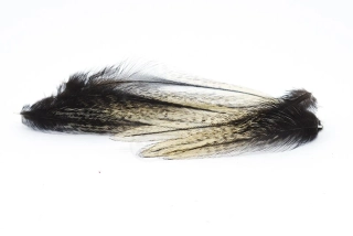 Peří Gallo Leon Pardo Neck Hackle