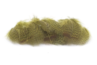 Troutline English Partridge Dyed Olive