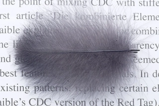 Troutline Size Selected CDC Feathers 5cm+ Grey Dun