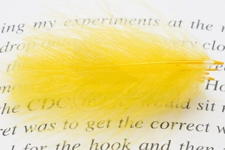 Troutline Size Selected CDC Feathers 5cm+ Yellow