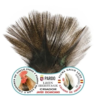 Gallo de León - Bronze Grade Corzuno Dark
