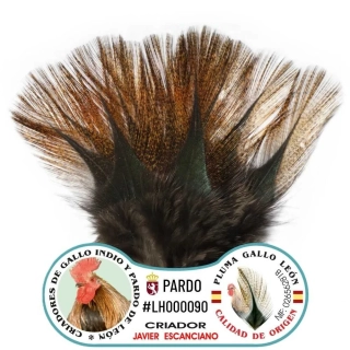 Gallo de León - Bronze Grade Brown Dark
